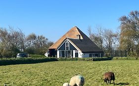 Zuid Haffel